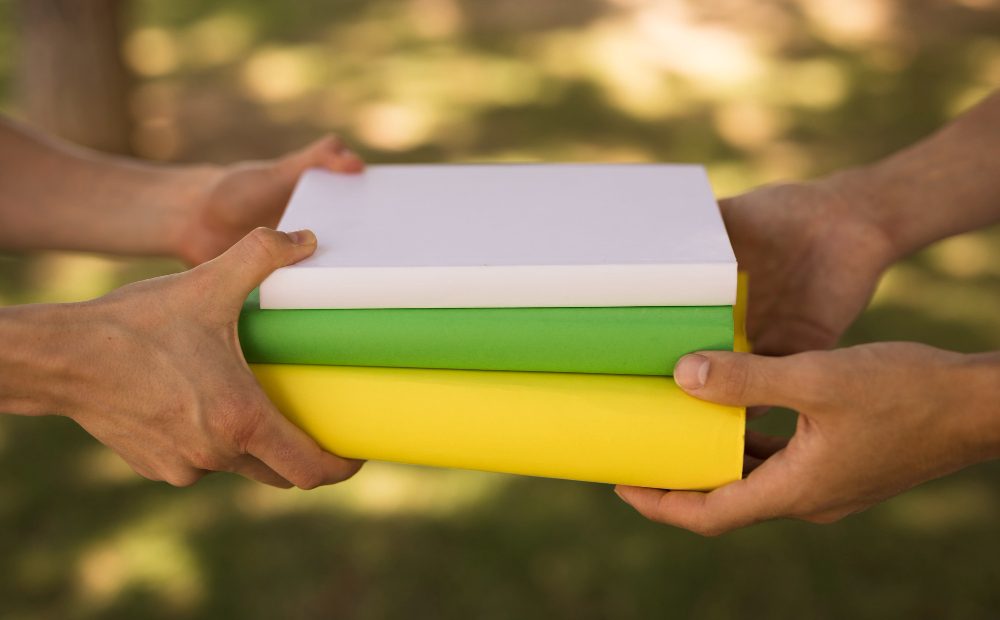Elemente care consolidează relația frăților prin activități comune
